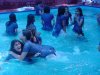 The kewl excursion 090.jpg