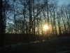 PA100336.jpg