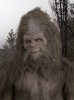 sasquatch.jpg