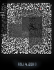 pixel.PNG