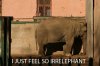 Emoliphant_buzzfeed.jpg