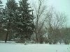 Picture 164.jpg