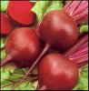 beetroot.jpg