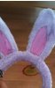 jimmybunny.jpg