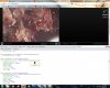 burnitdown_css2.jpg