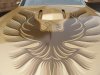 78transam2.jpg