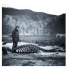 Album Cover.jpg