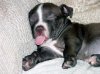 sleeping funny.jpg
