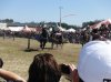 DSCF0088.jpg