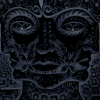 10000+Days+Tool.png