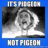 Pidgeon.jpg