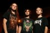 revocation.jpg