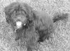 20130611_200026.jpg