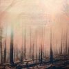 if_these_trees_could_talk-red_forest.jpg