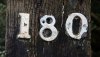 shinners-lsat-blog-how-i-scored-a-180-on-the-lsat.jpg