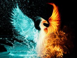 PhoenixInside