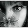 Black Orchid