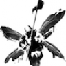 Sibranex