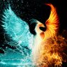 PhoenixInside