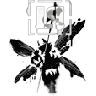 Butterfly Solider