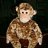 monkey030306