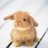fuzzybunny